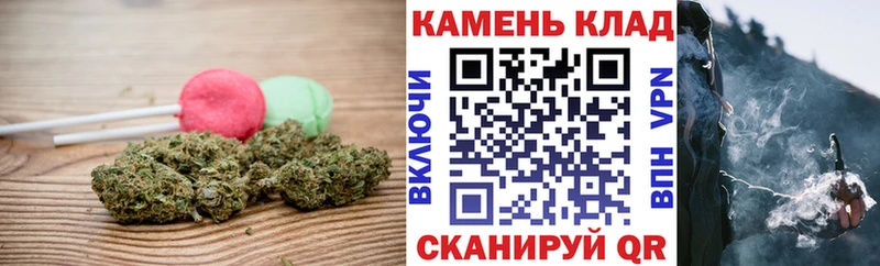shop наркотические препараты  Шацк  Cannafood марихуана 