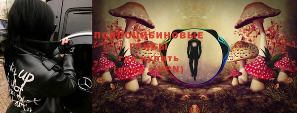 ALPHA-PVP Алексеевка