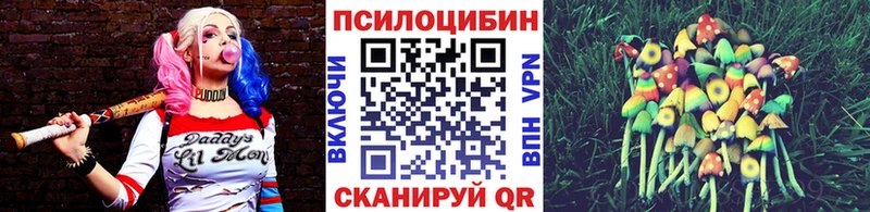 Псилоцибиновые грибы прущие грибы  Шацк 